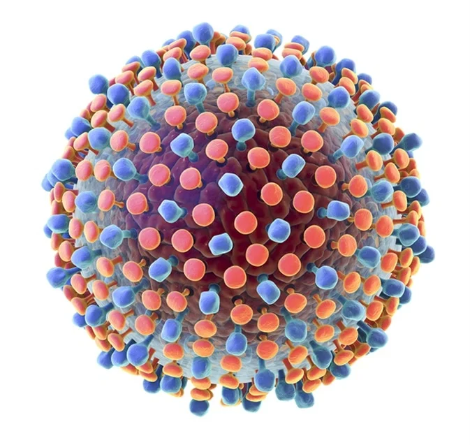 Hepatitis C FAQ questions and answers (quiz)